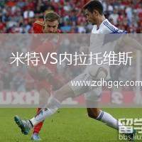 米特VS內(nèi)拉托維斯