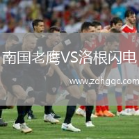 南國(guó)老鷹VS洛根閃電