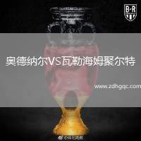 奧德納爾VS瓦勒海姆聚爾特