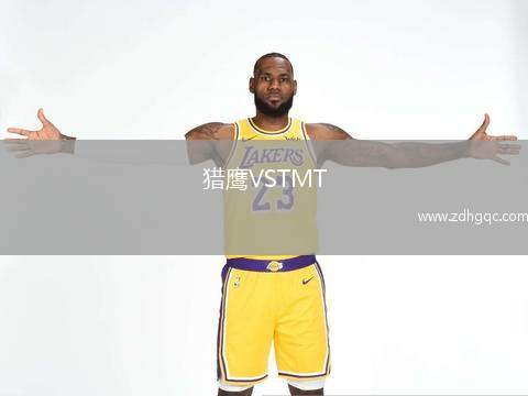 獵鷹VSTMT