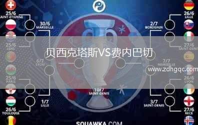 貝西克塔斯VS費內(nèi)巴切