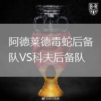 阿德萊德毒蛇后備隊(duì)VS科夫后備隊(duì)