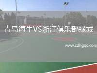 青島海牛VS浙江俱樂部綠城