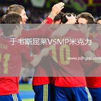 于韋斯屈萊VSMP米克力