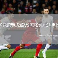 圣佩德羅虎鯊VS龐塔戈?duì)栠_(dá)黑豹