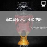 弗里斯卡VS古比根保斯