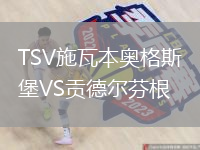 TSV施瓦本奧格斯堡VS貢德爾芬根
