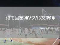 施韋因富特VSVfB艾斯特