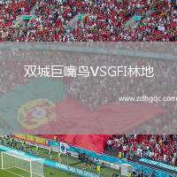 雙城巨嘴鳥VSGFI林地