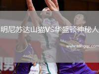 明尼蘇達山貓VS華盛頓神秘人
