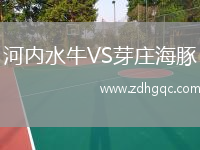 河內(nèi)水牛VS芽莊海豚