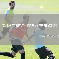 坎伯蘭聯(lián)VS阿德萊德眼鏡蛇