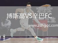 博斯高VS辛巴FC