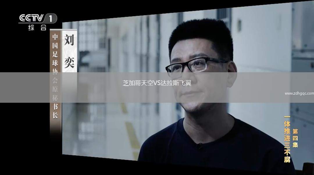 芝加哥天空VS達(dá)拉斯飛翼