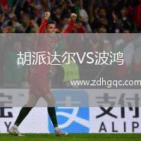 胡派達爾VS波鴻