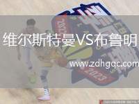 維爾斯特曼VS布魯明