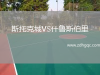 斯托克城VS什魯斯伯里