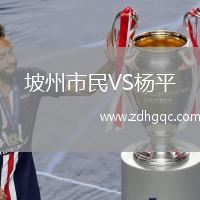 坡州市民VS楊平