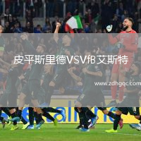 皮平斯里德VSVfB艾斯特