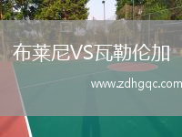 布萊尼VS瓦勒倫加