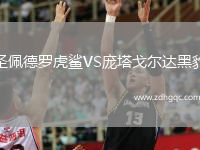 圣佩德羅虎鯊VS龐塔戈?duì)栠_(dá)黑豹
