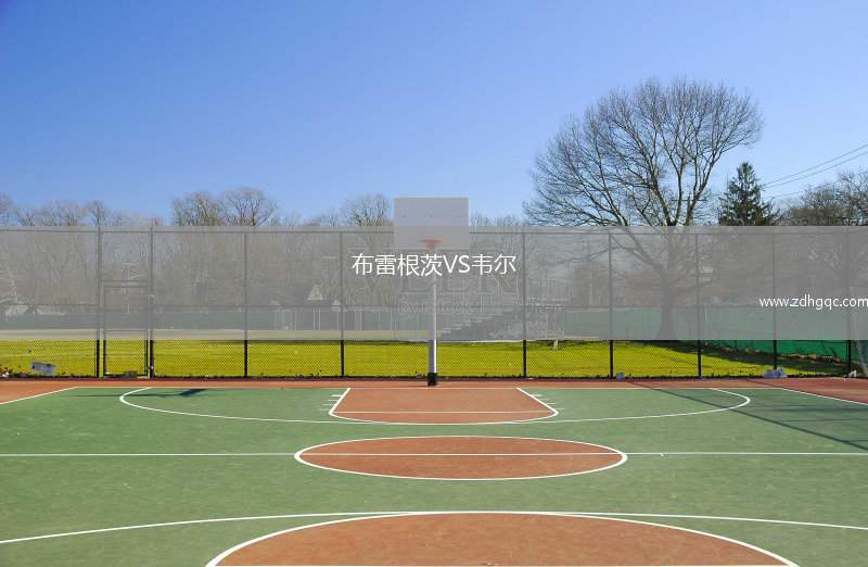 布雷根茨VS韋爾