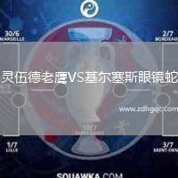 靈伍德老鷹VS基爾塞斯眼鏡蛇