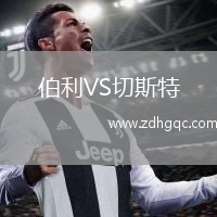 伯利VS切斯特