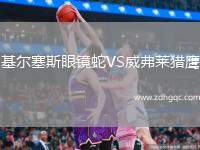 基爾塞斯眼鏡蛇VS威弗萊獵鷹