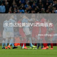 朱恩達(dá)拉普狼VS西南駭客