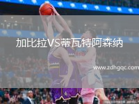 加比拉VS蒂瓦特阿森納