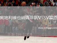 奧地利維也納青年隊VSSV霍恩