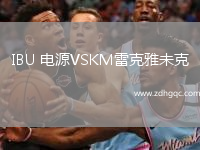 IBU 電源VSKM雷克雅未克