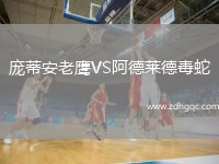 龐蒂安老鷹VS阿德萊德毒蛇