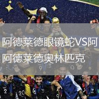 阿德萊德眼鏡蛇VS阿德萊德奧林匹克