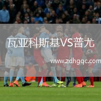 瓦亞科斯基VS普尤