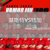 基斯特VS特加