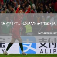 紐約紅牛后備隊(duì)VS紐約城B隊(duì)