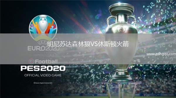 明尼蘇達森林狼VS休斯頓火箭