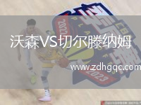 沃森VS切爾滕納姆