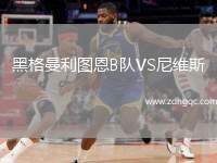 黑格曼利圖恩B隊VS尼維斯
