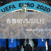 布魯明VS瓜比拉