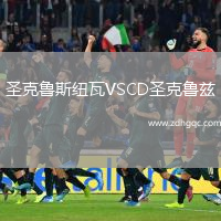 圣克魯斯紐瓦VSCD圣克魯茲