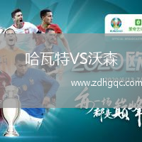 哈瓦特VS沃森