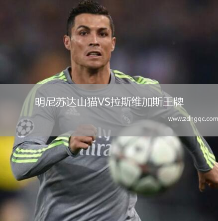 明尼蘇達山貓VS拉斯維加斯王牌