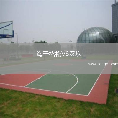 海于格松VS漢坎
