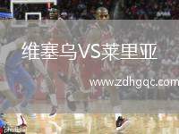 維塞烏VS萊里亞