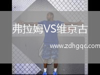 弗拉姆VS維京古
