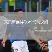 艾貝斯費(fèi)特聯(lián)VS博瑞漢姆