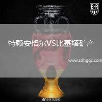 特賴(lài)安格爾VS比基塔礦產(chǎn)